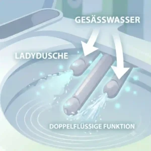 Diagram showing how the bidet aufsatz provides dual cleaning functions (feminine and rear) using distinct hautfreundliche düsen